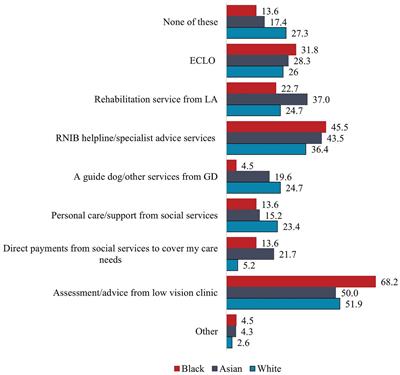 Access to eye care and support services among adults from minority ethnic communities living with visual impairment in the United Kingdom